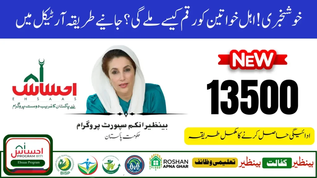 Ehsaas 8171 Web Portal Update 2025