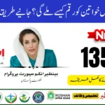 Ehsaas 8171 Web Portal Update 2025
