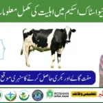 Free Livestock Scheme September 2025