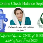 BISP 8171 Online Balance Check
