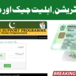bisp 8171 online check balance web portal