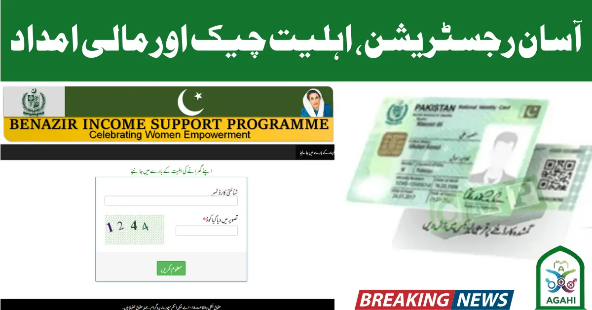 bisp 8171 online check balance web portal