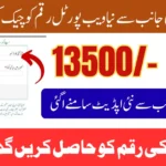 BISP 8171 Registration Rejected Reason and Solution